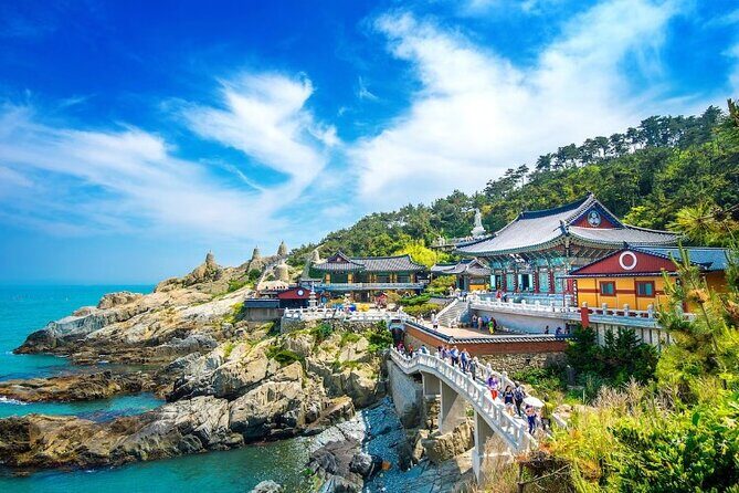 Private Minibus Tour in Busan for Cruise Ship Guests 8-15 People - Authentic Experiences and Practical Details