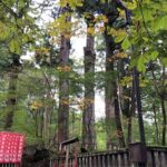 Private Morning Hike Around Nikko Toshogu Shrine - FAQ