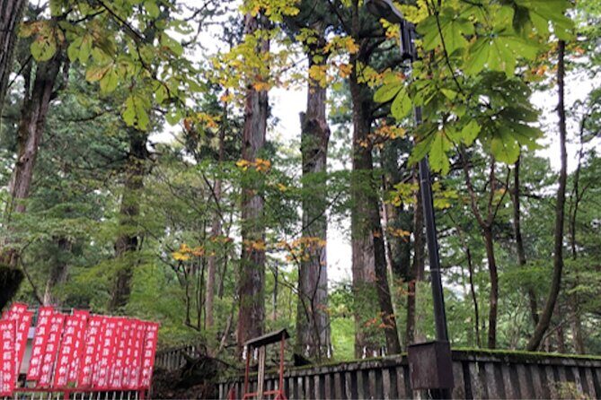 Private Morning Hike Around Nikko Toshogu Shrine - FAQ
