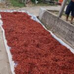 Private Motorbike Tour Discover the Local Life in Vietnam - Frequently Asked Questions