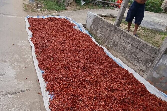 Private Motorbike Tour Discover the Local Life in Vietnam - Frequently Asked Questions