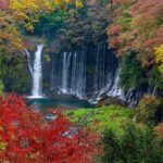 Private Mount Fuji and Hakone City Tour from Tokyo - Analyzing the value and practical aspects