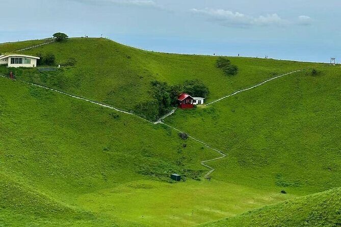 Private Mt Fuji Area Day Trip with English Speaking Driver - Who Should Consider This Tour?