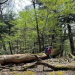 Private Mt Fuji Car and Hiking Experience from Gotemba - Final Thoughts