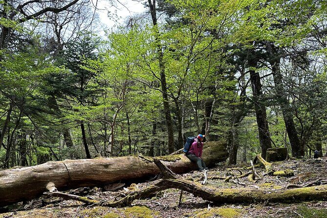 Private Mt Fuji Car and Hiking Experience from Gotemba - Final Thoughts