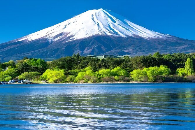 Private Mt. Fuji Day Trip from Tokyo with English-Speaking Driver - Authentic Experiences and Practicalities