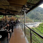 Private Nature Trip to Cameron Highlands from Kuala Lumpur - Final Thoughts: Is It Worth It?