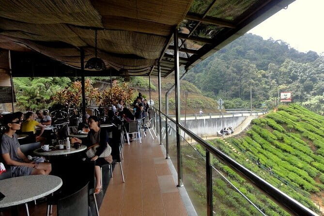 Private Nature Trip to Cameron Highlands from Kuala Lumpur - Final Thoughts: Is It Worth It?