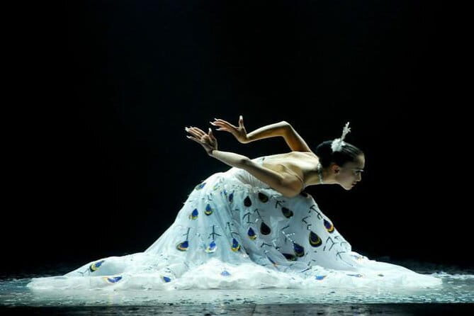 Private Night Tour to Enjoy Dynamic Yunnan Show - Why This Tour Might Be a Good Fit