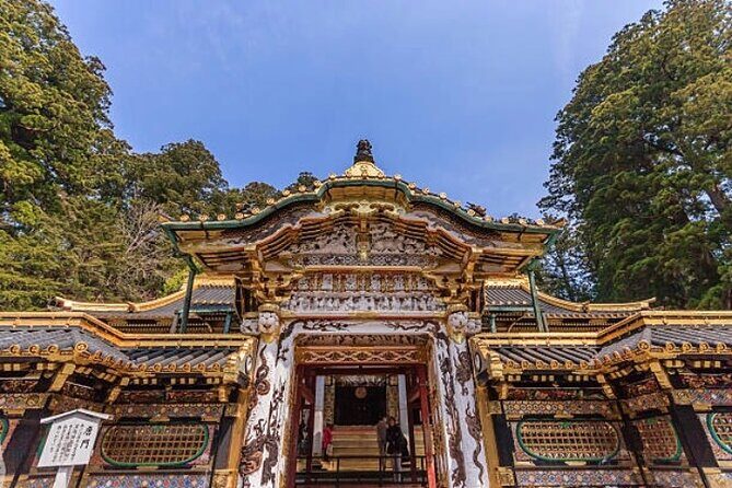 Private Nikko Tour with Hotel Pickup - A Deep Dive into the Nikko Experience