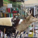 Private Nippori Fabric Town Walking Tour - Everything You Need to Know: The Itinerary