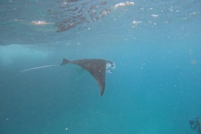 PRIVATE Nusa Penida on Boat Snorkeling & Island Tour (INCLUSIVE) - What to Expect from This Tour