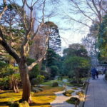 Private Old Temples Guided Tour in Kamakura - Who Would Love This Tour?
