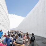 Private One-Day Everything Tour in Nagano or Matsumoto - Who Should Consider This Tour?