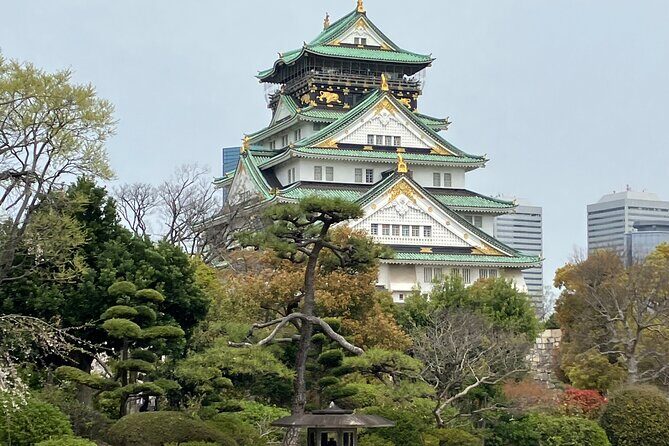 Private Osaka Tour with Hotel Meet Up - Dotonbori