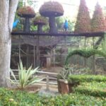 Private Puerto Princesa City Tour : A Sightseeing Excursion - A Deep Dive into the Puerto Princesa Private Tour Experience