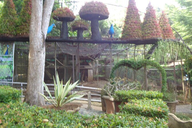 Private Puerto Princesa City Tour : A Sightseeing Excursion - A Deep Dive into the Puerto Princesa Private Tour Experience