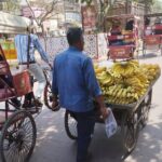 Private Rickshaw Tour of Old Delhi Heritage with Food Tasting - Final Thoughts