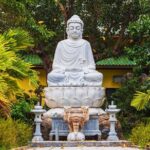 Private Shore Tour of Hoi An Ancient Town from Tien Sa Port - What This Tour Means for You