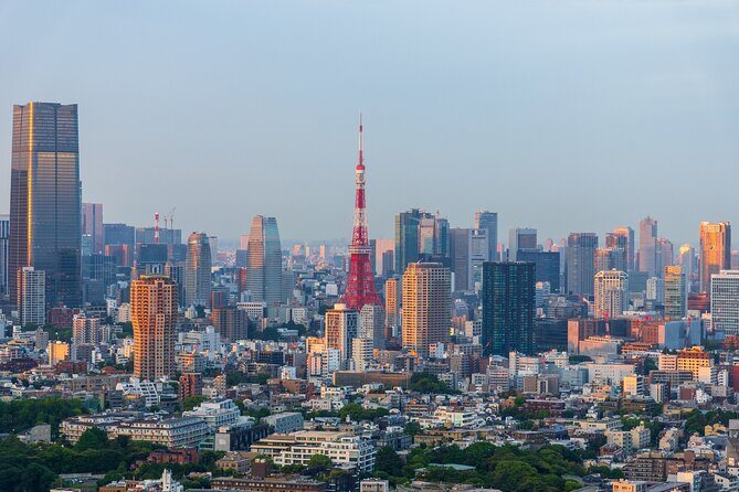 Private Shore Tour: Tokyo Highlights & Hidden Gems - Delving into Tokyo’s Hidden Gems