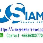 Private Shuttle SUV Bangkok From or To Airport - The Experience in Detail
