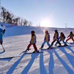 Private Ski and Snowboard Lesson in Sapporo or Otaru with a Coach - Exploring the Private Ski or Snowboard Lesson Experience