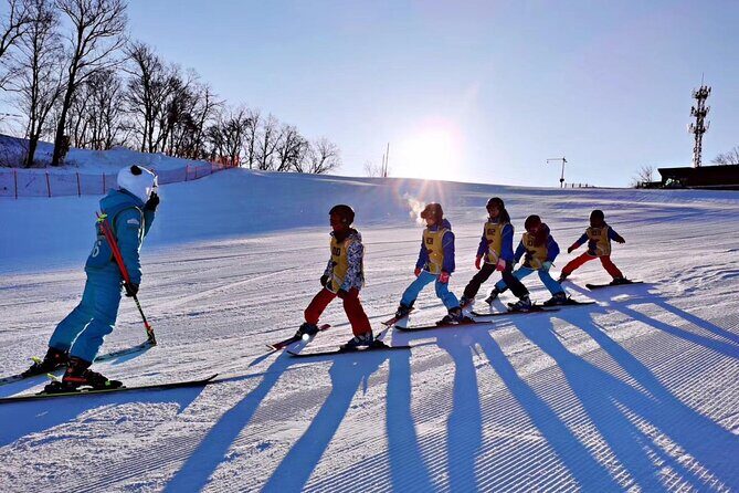 Private Ski and Snowboard Lesson in Sapporo or Otaru with a Coach - Exploring the Private Ski or Snowboard Lesson Experience