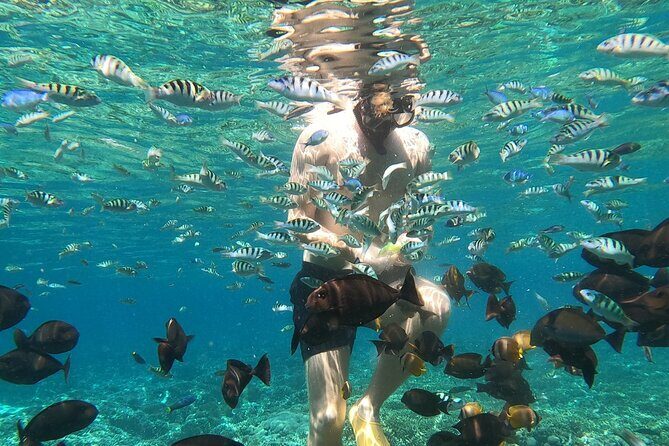 Private Snorkeling from Nusa Penida - FAQ