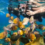 Private Snorkeling in Manta Bay, Gamat Bay & Wall at Nusa Penida - An In-Depth Look at the Snorkeling Adventure in Nusa Penida