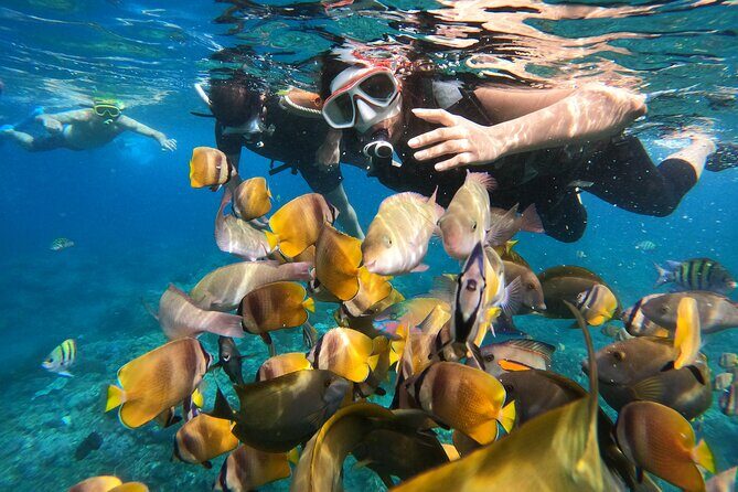 Private Snorkeling in Manta Bay, Gamat Bay & Wall at Nusa Penida - An In-Depth Look at the Snorkeling Adventure in Nusa Penida