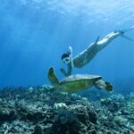 Private snorkeling tour Ishigaki island - What to Expect During Your Tour