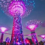Private Starry Night Singapore Tour and Roundtrip Transfers - The Experience in Detail