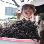 Private Taxi Phnom Penh to Siem Reap with English Speaking Driver - Authentic Experiences on the Road