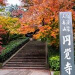 Private Temples and Nature in North Kamakura Walking Tour - Who should consider this tour?