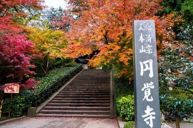 Private Temples and Nature in North Kamakura Walking Tour - Who should consider this tour?