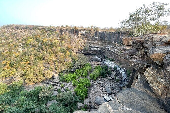 Private tiger watching in Panna National Park of Khajuraho - Final Thoughts: Is This the Right Experience for You?