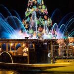 Private Tokyo Disneyland/DisneySea Tour with Car Transportation - A Detailed Look at This Private Disney Transfer Experience