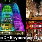 Private Tokyo Night Time Sightseeing Ride 3 Scenic Route Options - Why This Experience Offers Great Value