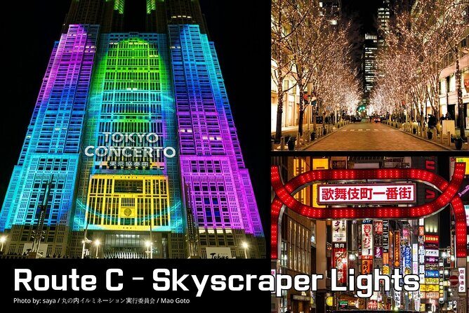 Private Tokyo Night Time Sightseeing Ride 3 Scenic Route Options - Why This Experience Offers Great Value