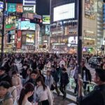 Private Tokyo Night Tour - The Sum Up