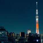 Private Tokyo Tour - up to 9 Travelers - Exploring Tokyo in One Day: A Practical Breakdown