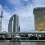 Private Tokyo Tour with Local Guide - Transportation and Logistics – Making It Easy