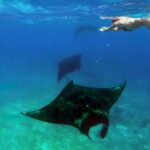 Private tour 4 days 3 nights Komodo on boat, waterfall and Rangko cave - What Makes This Tour Stand Out