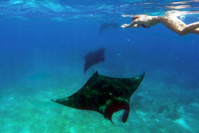 Private tour 4 days 3 nights Komodo on boat, waterfall and Rangko cave - What Makes This Tour Stand Out