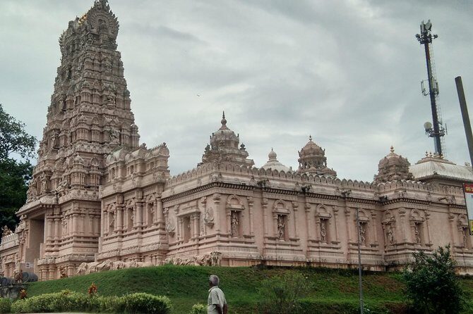 Private Tour Batu Caves,Wonderful Fireflies,Eagles and Silvered Leaf Monkey - Final Thoughts