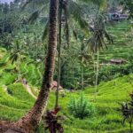 Private Tour: Best of Bali - All Inclusive Tickets - Exploring the Itinerary in Detail