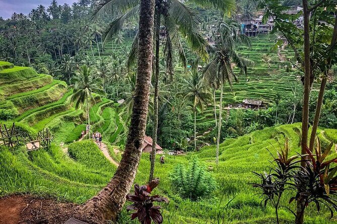 Private Tour: Best of Bali - All Inclusive Tickets - Exploring the Itinerary in Detail