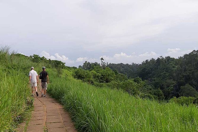 Private Tour: Campuhan Ridge Walk, Ubud Rice Terrace & Ubud Palace - The Practical Details