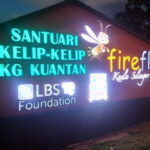 Private Tour Fireflies, Eagles and Monkey - Authentic Encounters in Kuala Selangor: What We Love