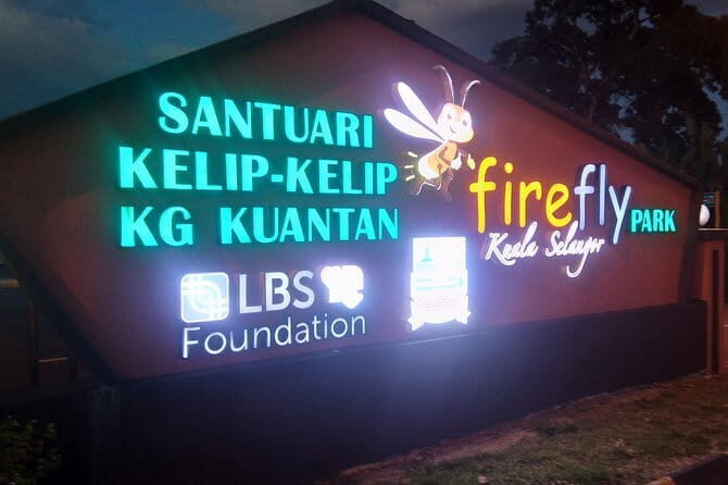 Private Tour Fireflies, Eagles and Monkey - Authentic Encounters in Kuala Selangor: What We Love